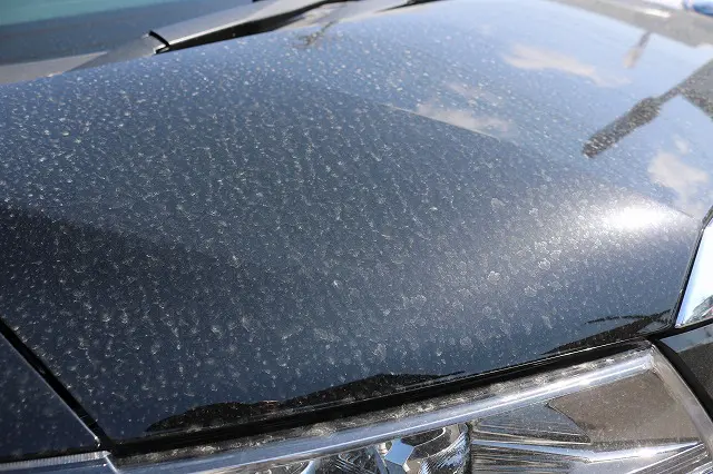 車のボンネットに付着した花粉
